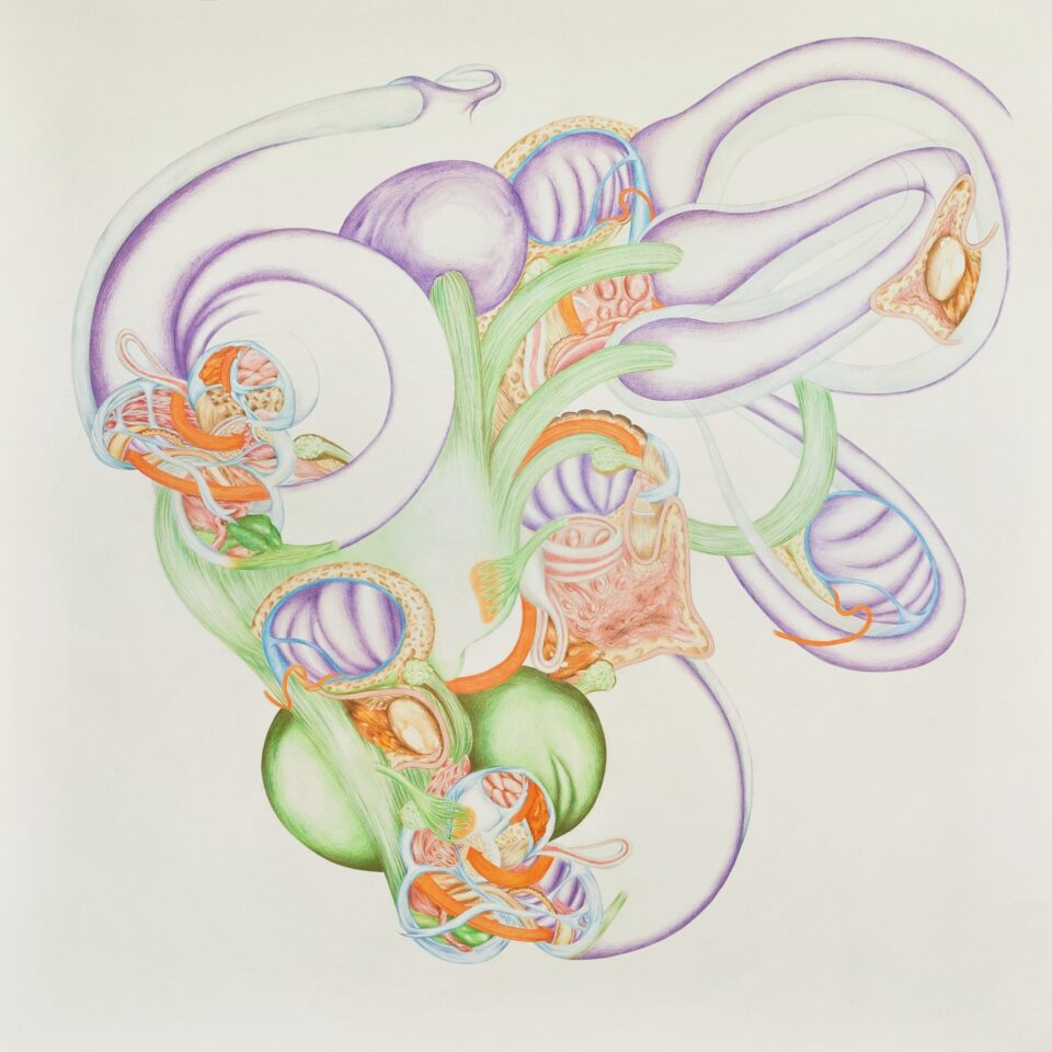 Appareil, grand #1, 2011, crayons de couleur sur papier, 100x100 cm