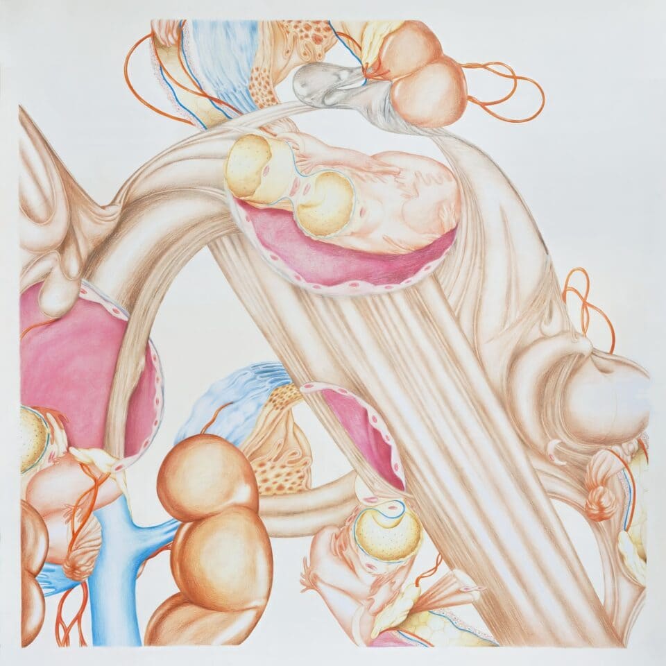 Appareil, grand #2, 2011, crayons de couleur sur papier, 102x102 cm