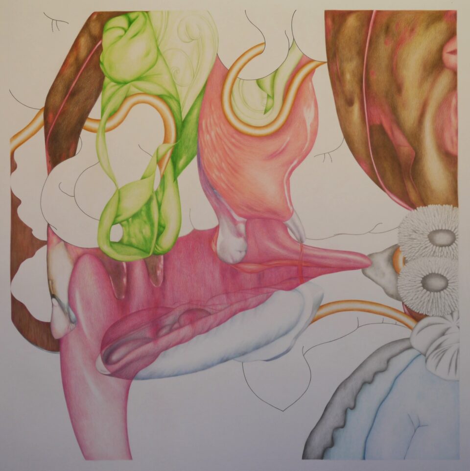 Appareil, grand #4, 2013, crayons de couleur sur papier, 96x96 cm