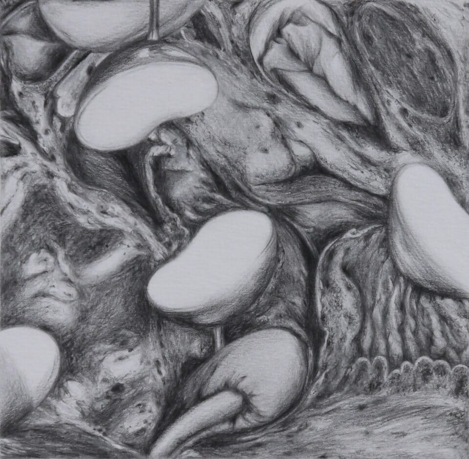 Microscosme #1, 2011, graphite sur papier, 15x15 cm