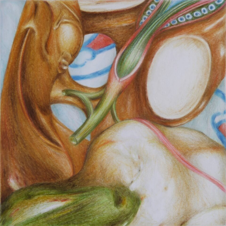 Microscosme #7, 2012, crayons de couleur sur papier, 15x15 cm