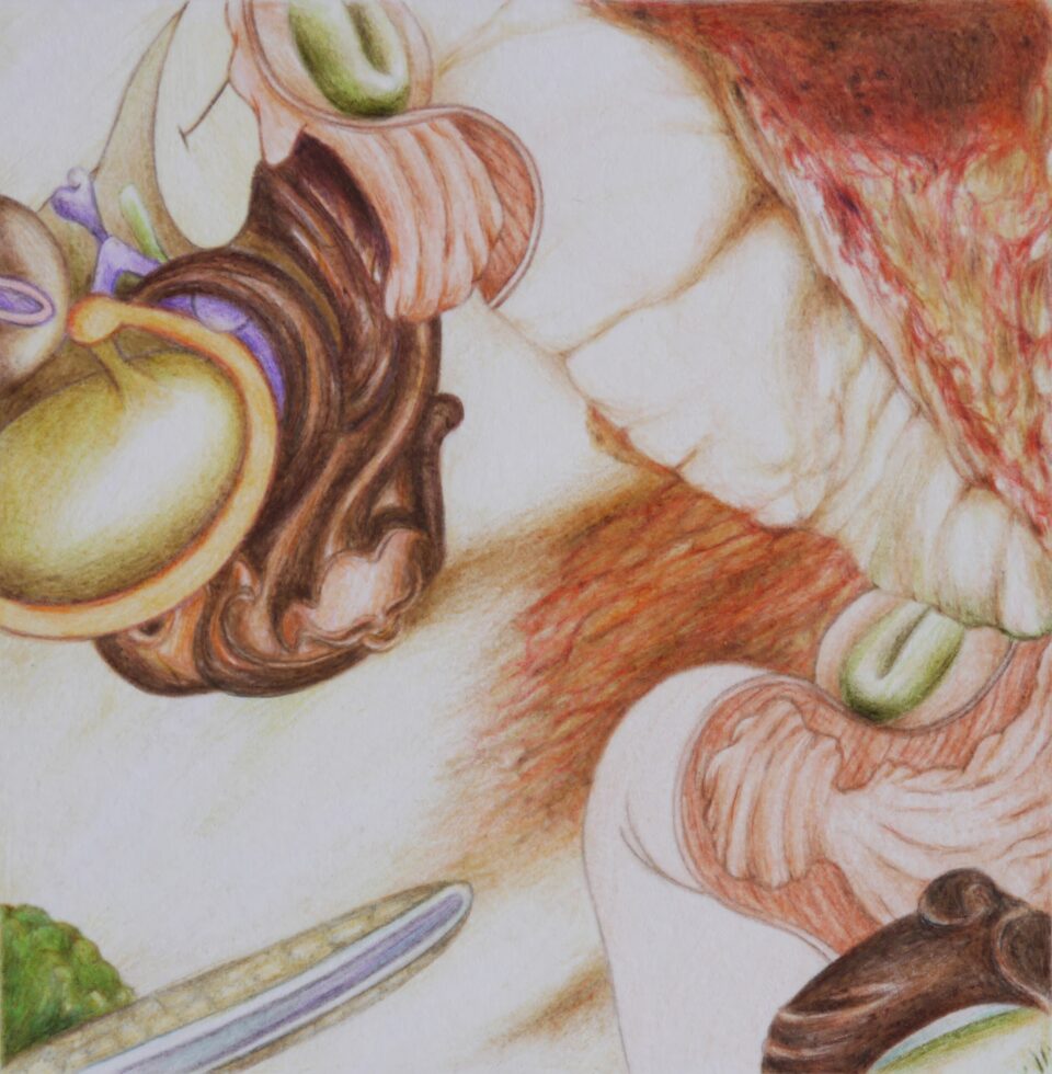 Microscosme #8, 2012, crayons de couleur sur papier, 15x15 cm