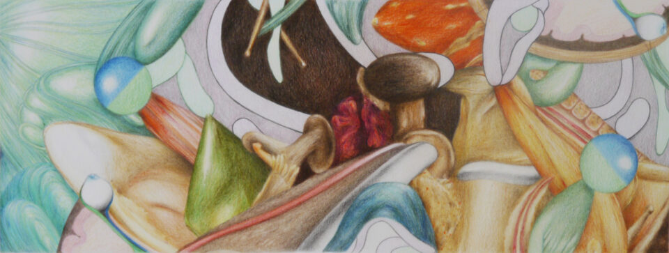 Microscosme, panoramique #1, 2013, crayons de couleur sur papier, 15x40 cm