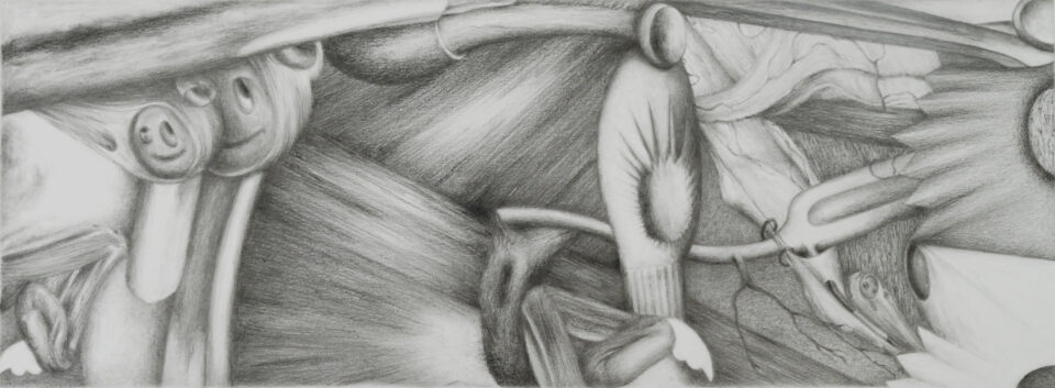 Microscosme, panoramique #2, 2013, graphite et crayon noir sur papier, 15x40 cm